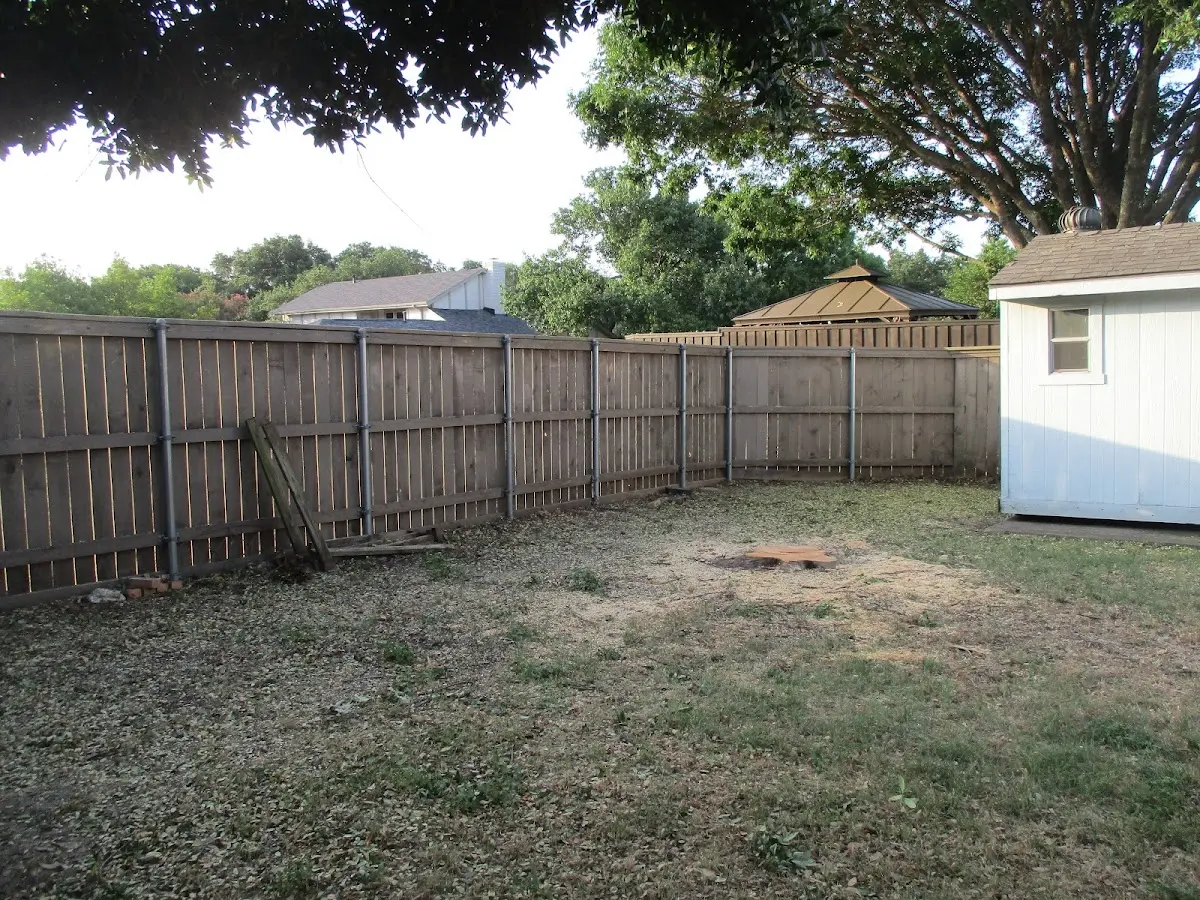 Cleared yard after professional tree removal in Kinderhook